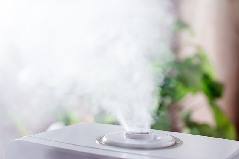 Blog Title: Why Is Indoor Air Quality (IAQ) Important? Photo: Steam humidifier in the house