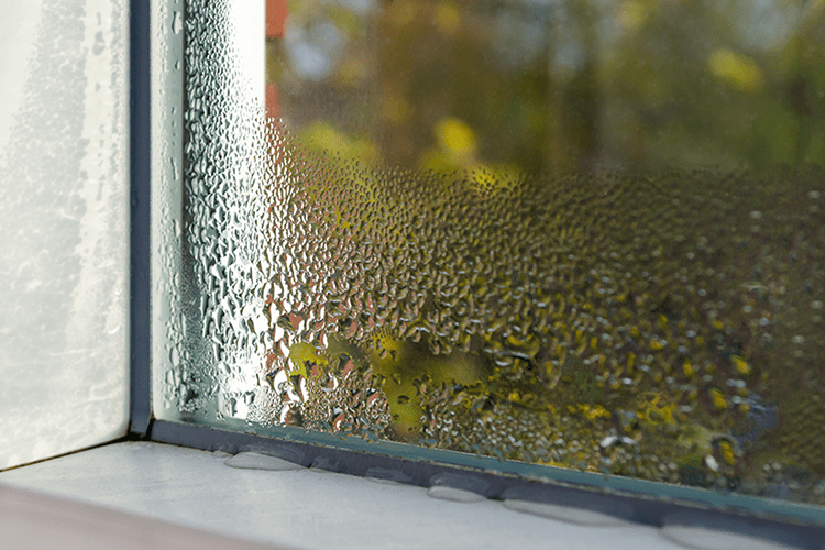 Image of condensation on a window. Why You Need Whole-House Humidity Control.